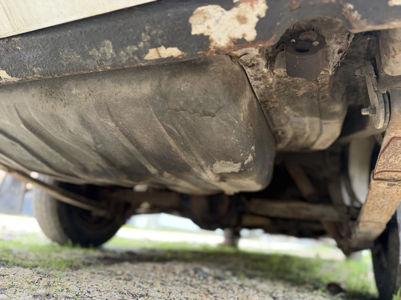 IMG_4900 – grande.jpeg