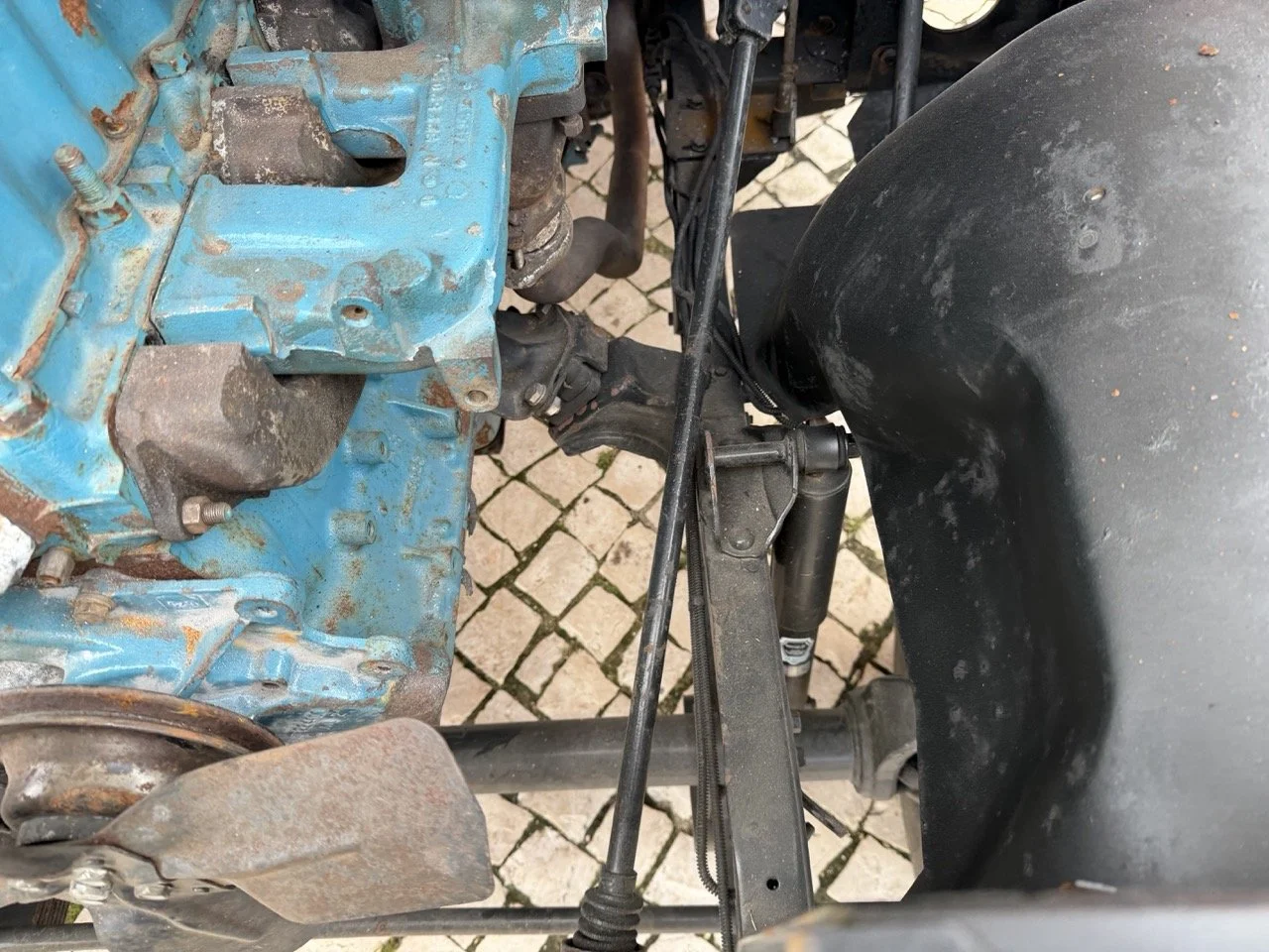 IMG_3946 – grande.jpeg