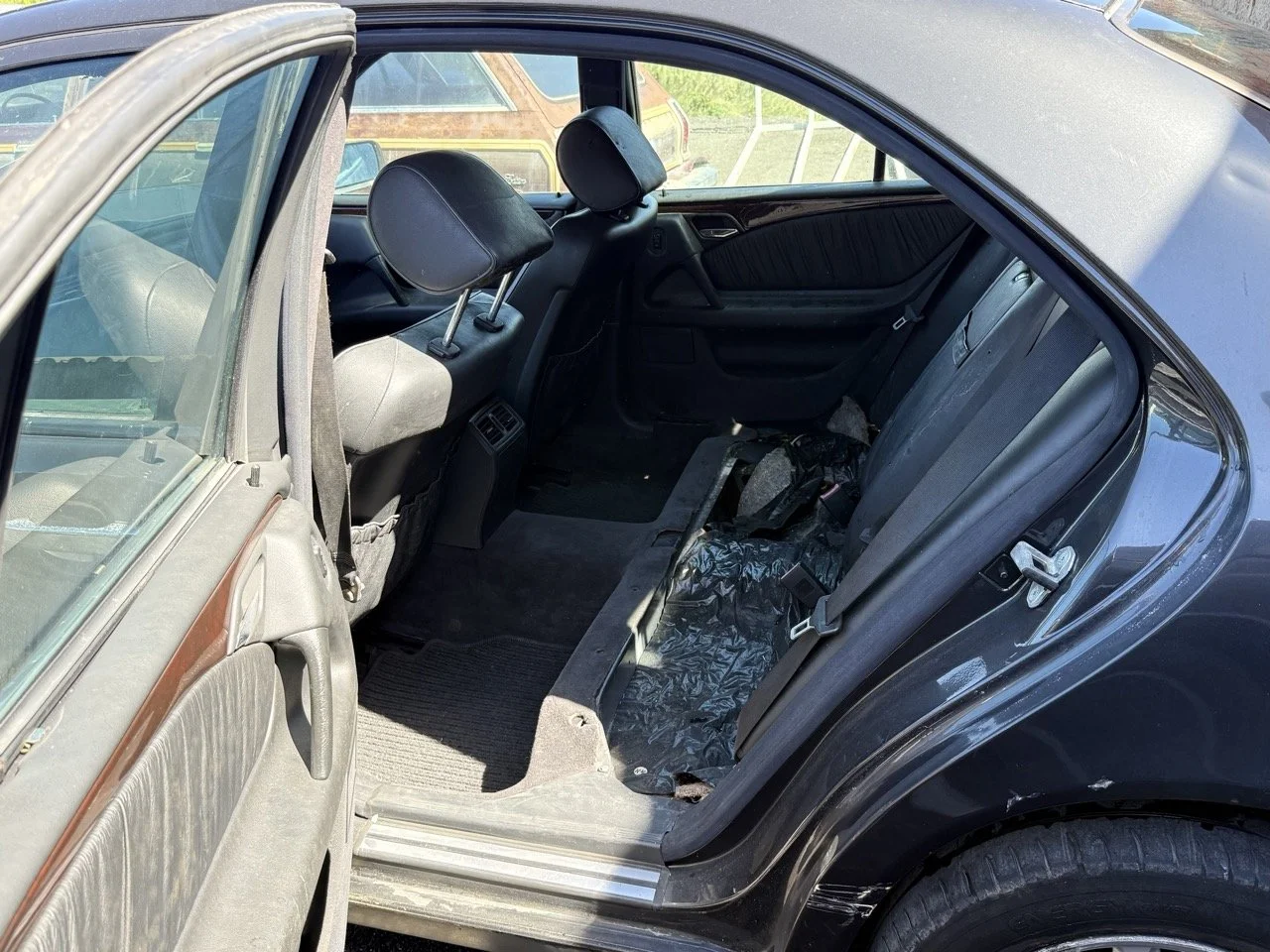 IMG_1734 – grande.jpeg