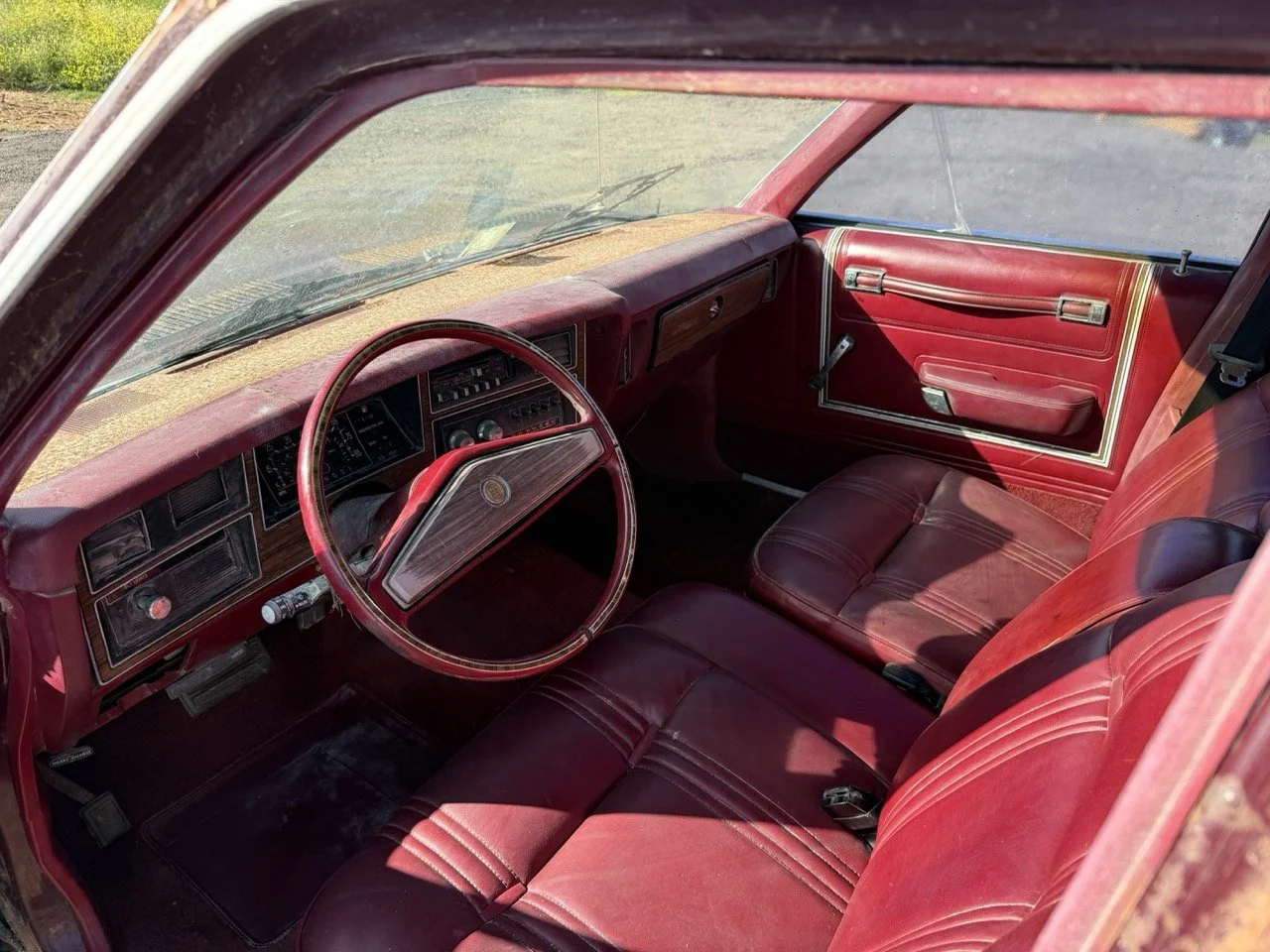 IMG_3014 – grande.jpeg