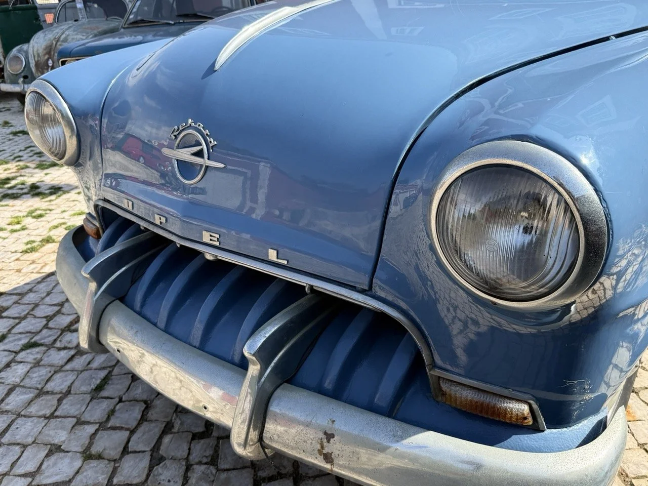 IMG_3579 – grande.jpeg