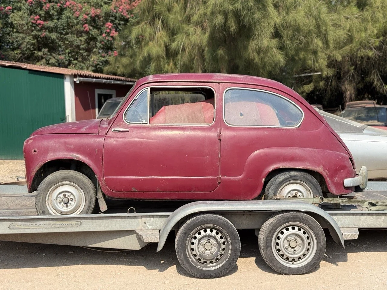 IMG_3815 – grande.jpeg