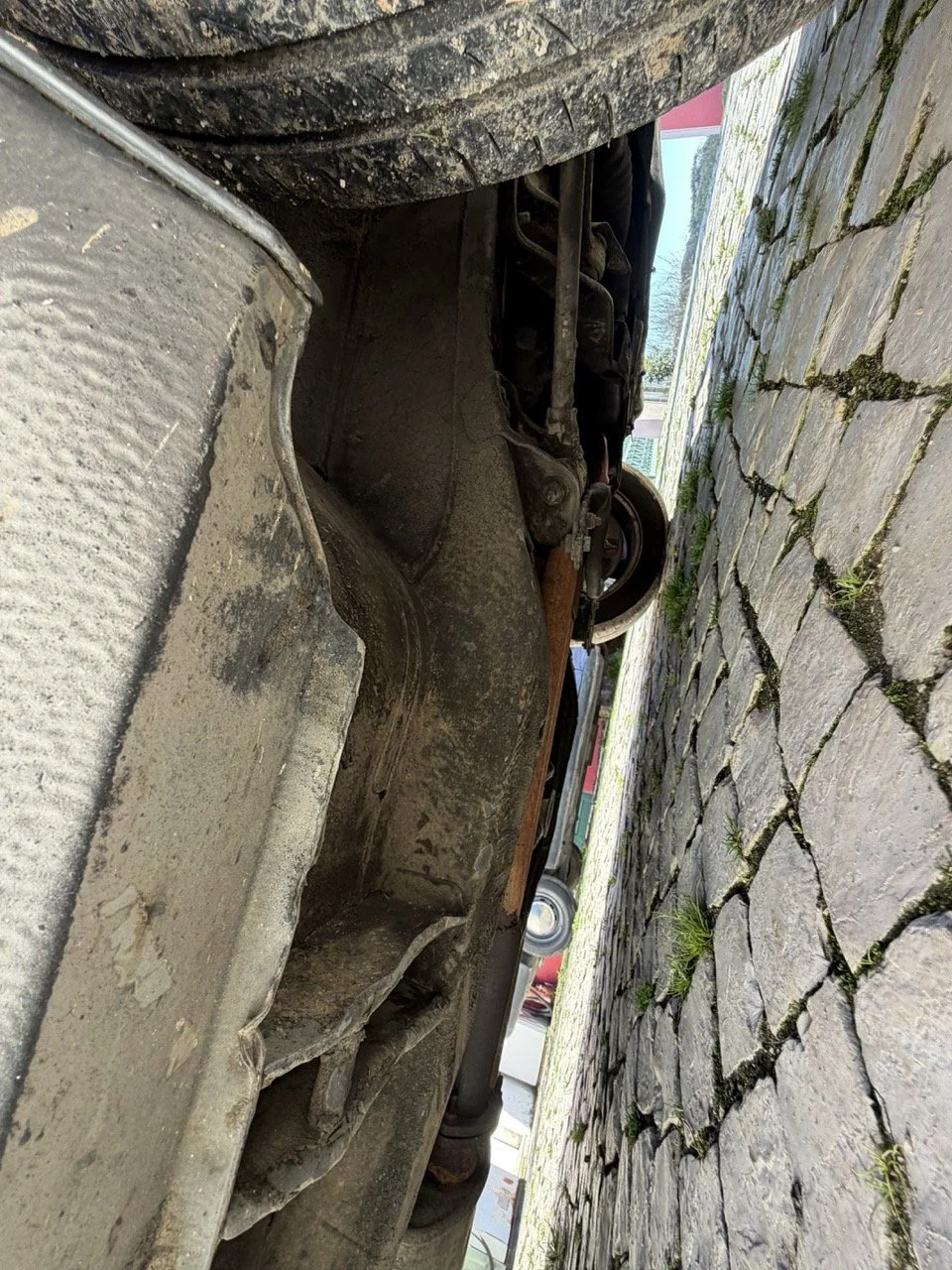 IMG_2038 – grande.jpeg