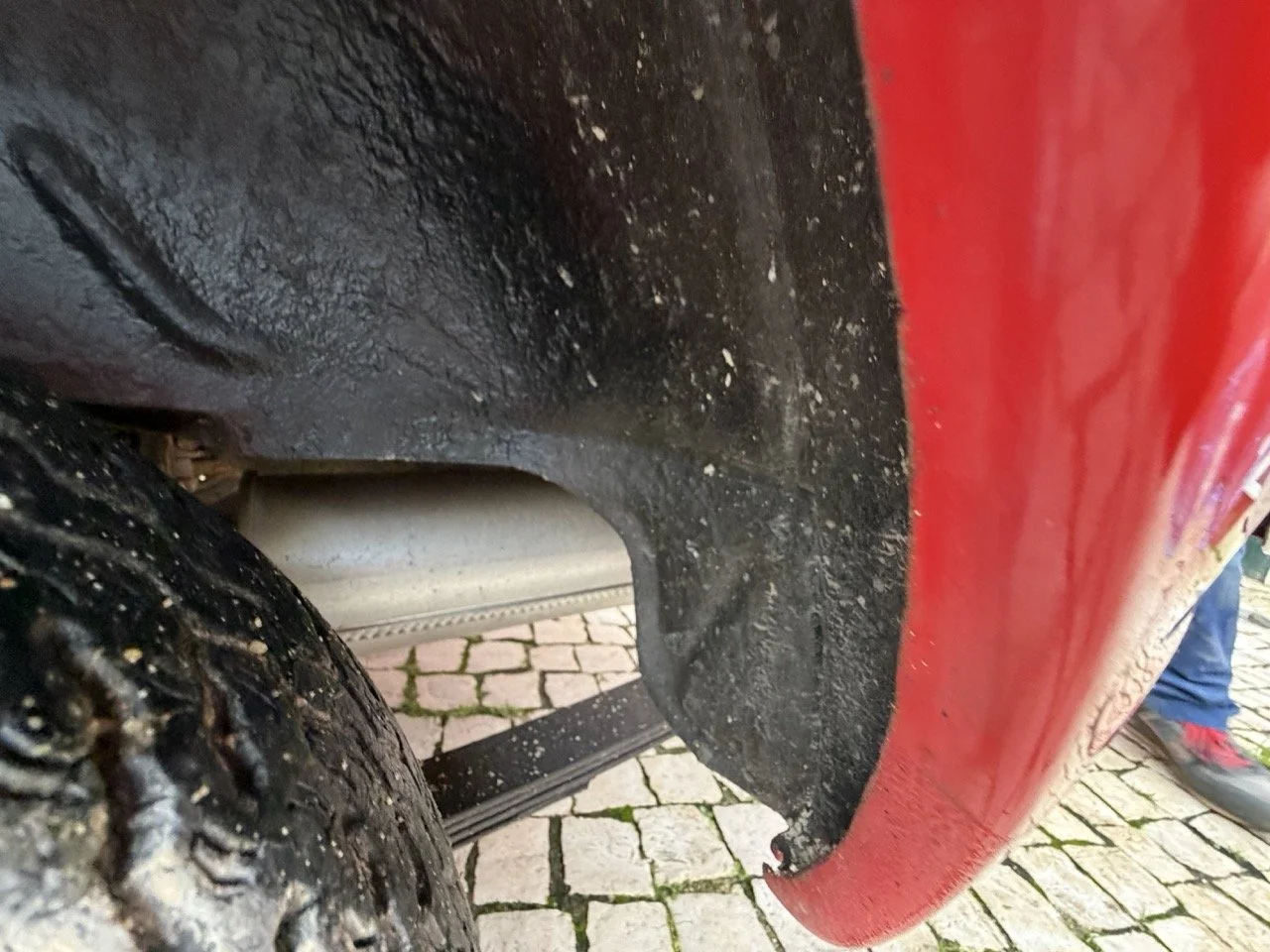 IMG_8313 – grande.jpeg