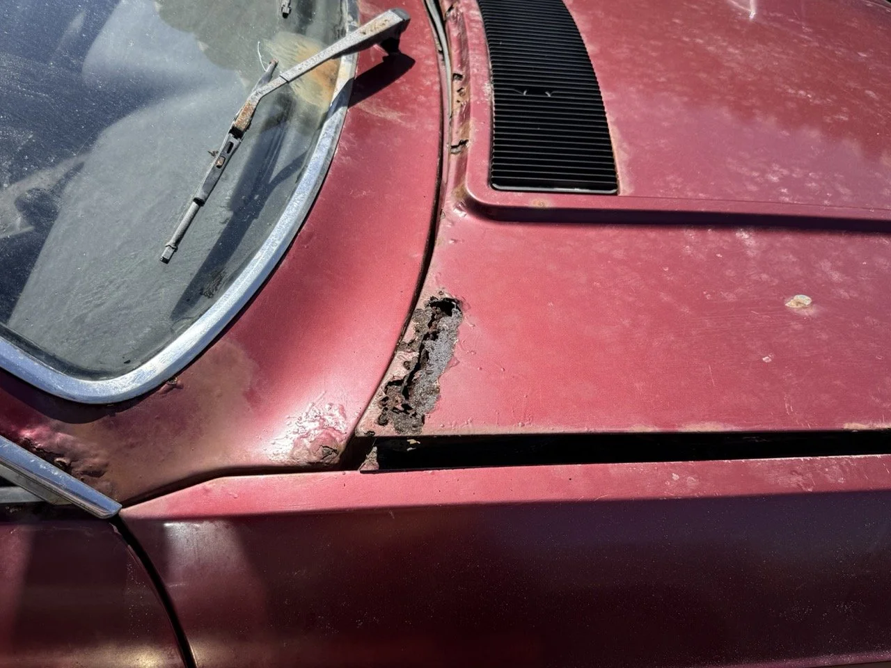 IMG_0953 – grande.jpeg