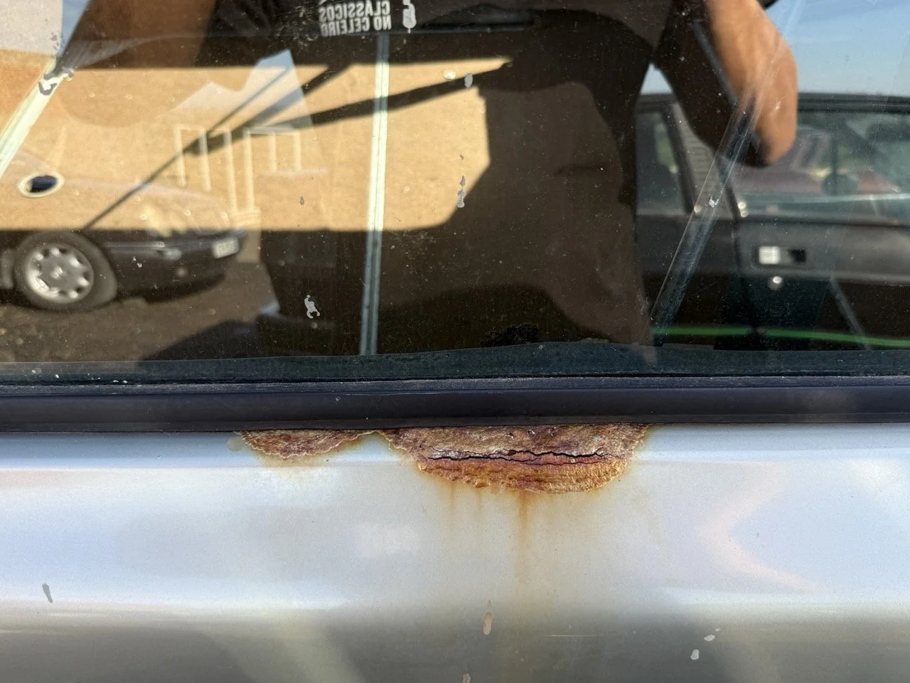 IMG_1203 – grande.jpeg