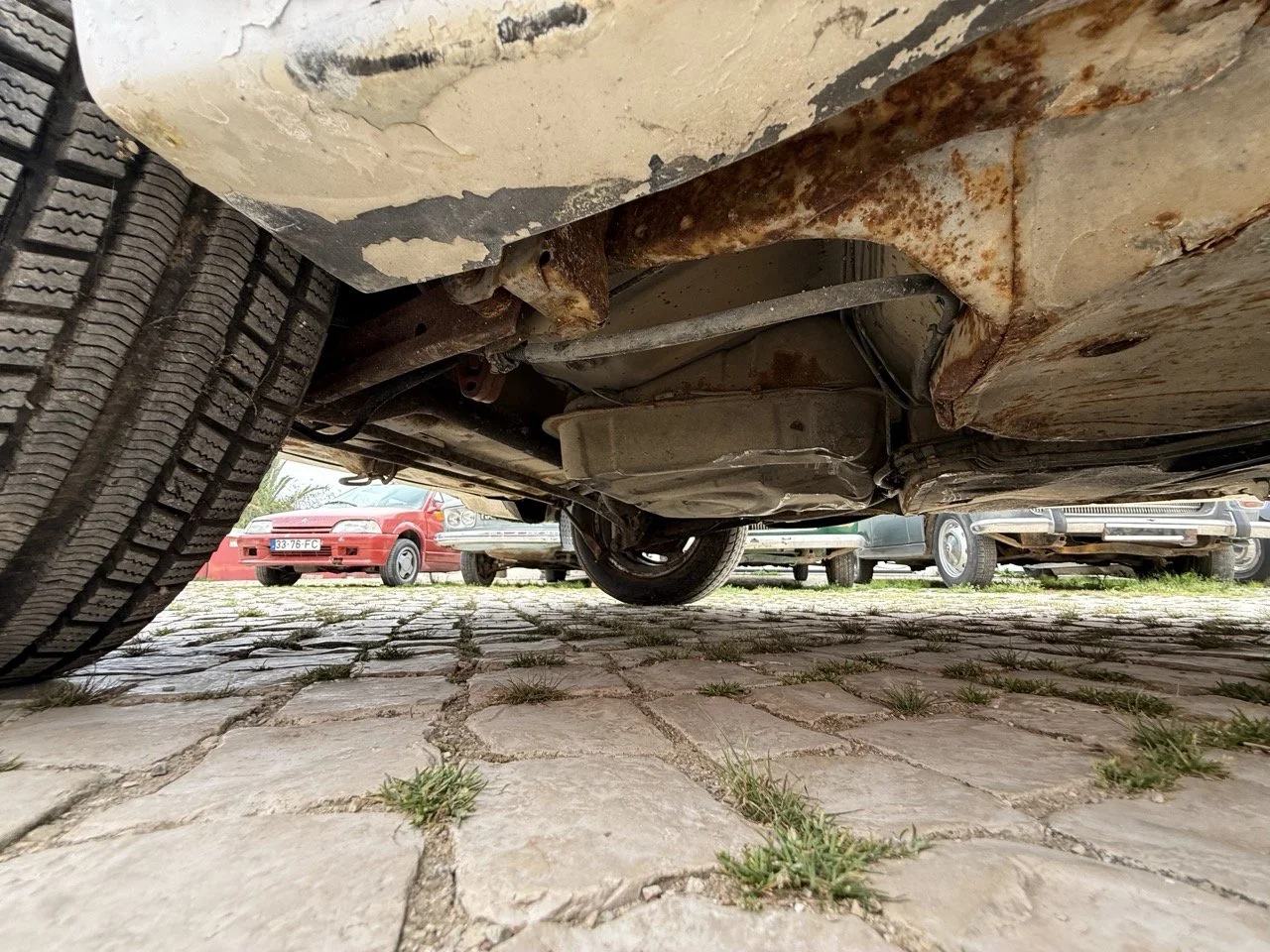 IMG_8637 – grande.jpeg