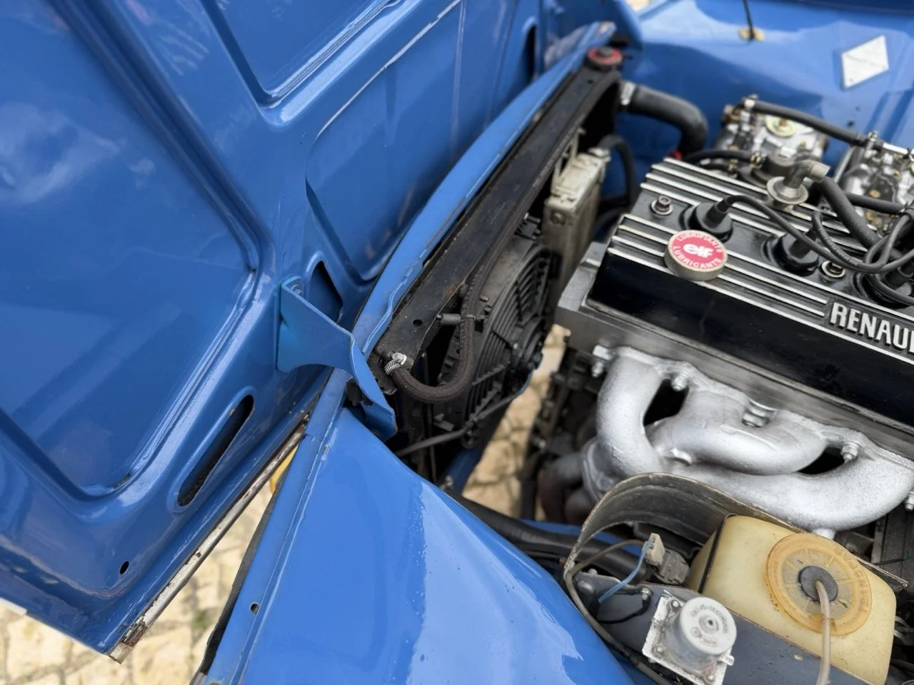 IMG_6044 – grande.jpeg