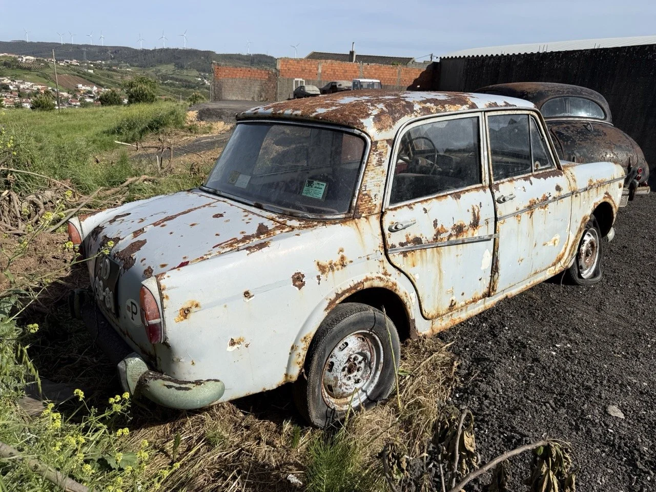 IMG_0483 – grande.jpeg