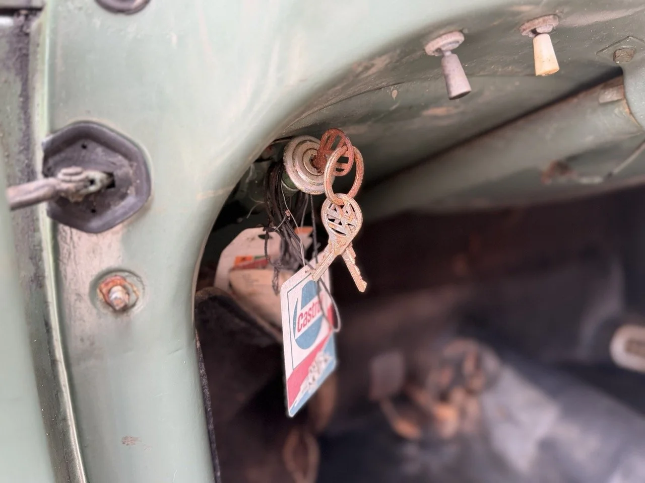 IMG_1117 – grande.jpeg