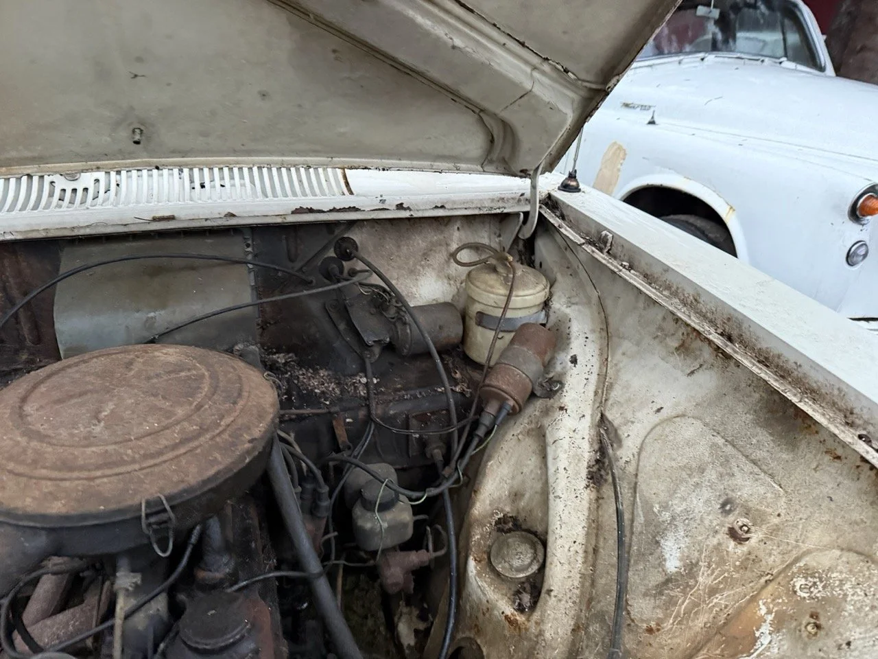 IMG_0160 – grande.jpeg