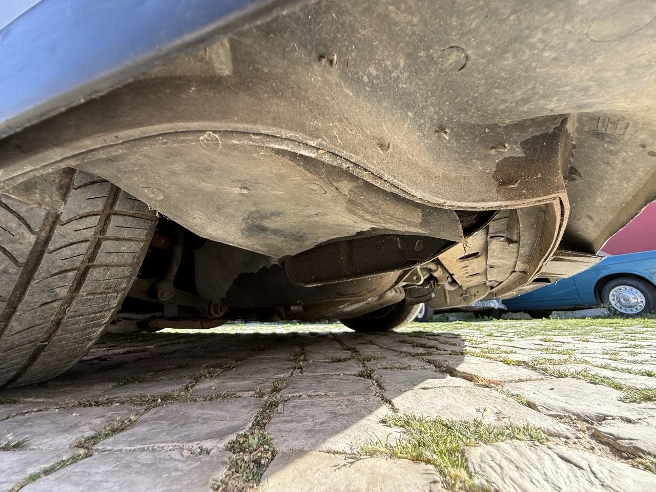 IMG_2636 – grande.jpeg