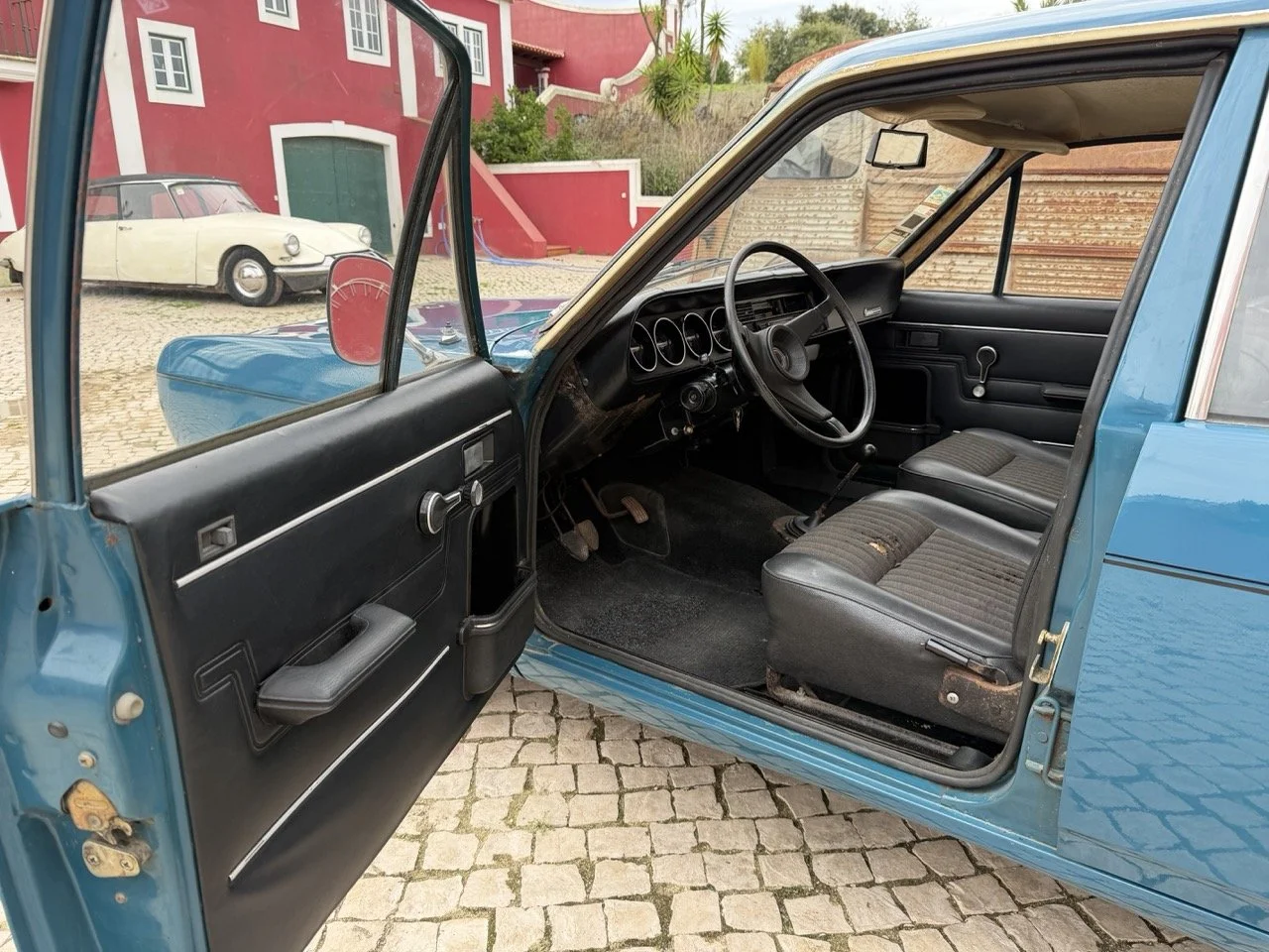 IMG_6273 – grande.jpeg