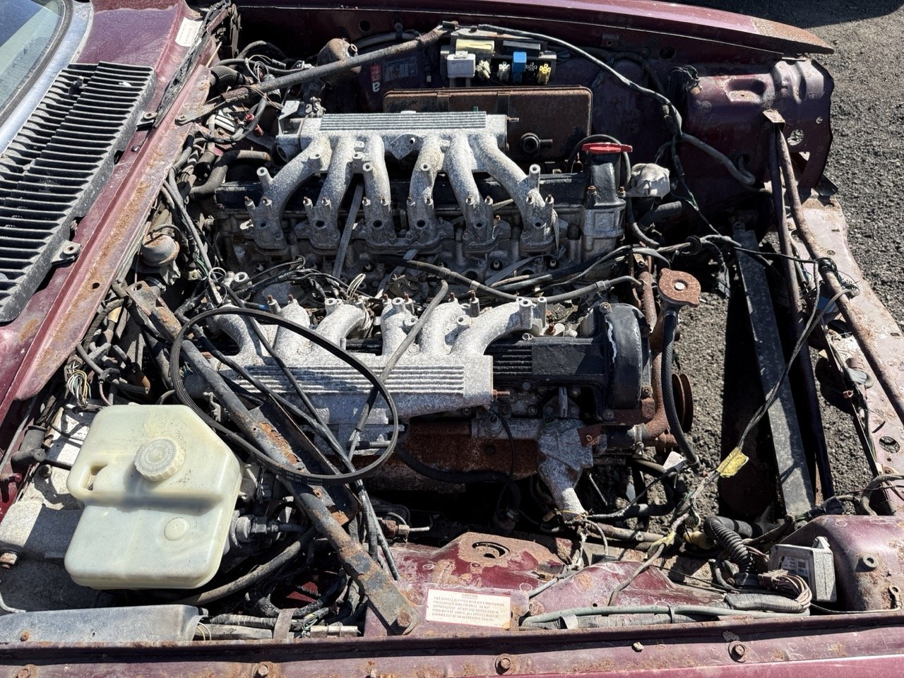 IMG_2973 – grande.jpeg