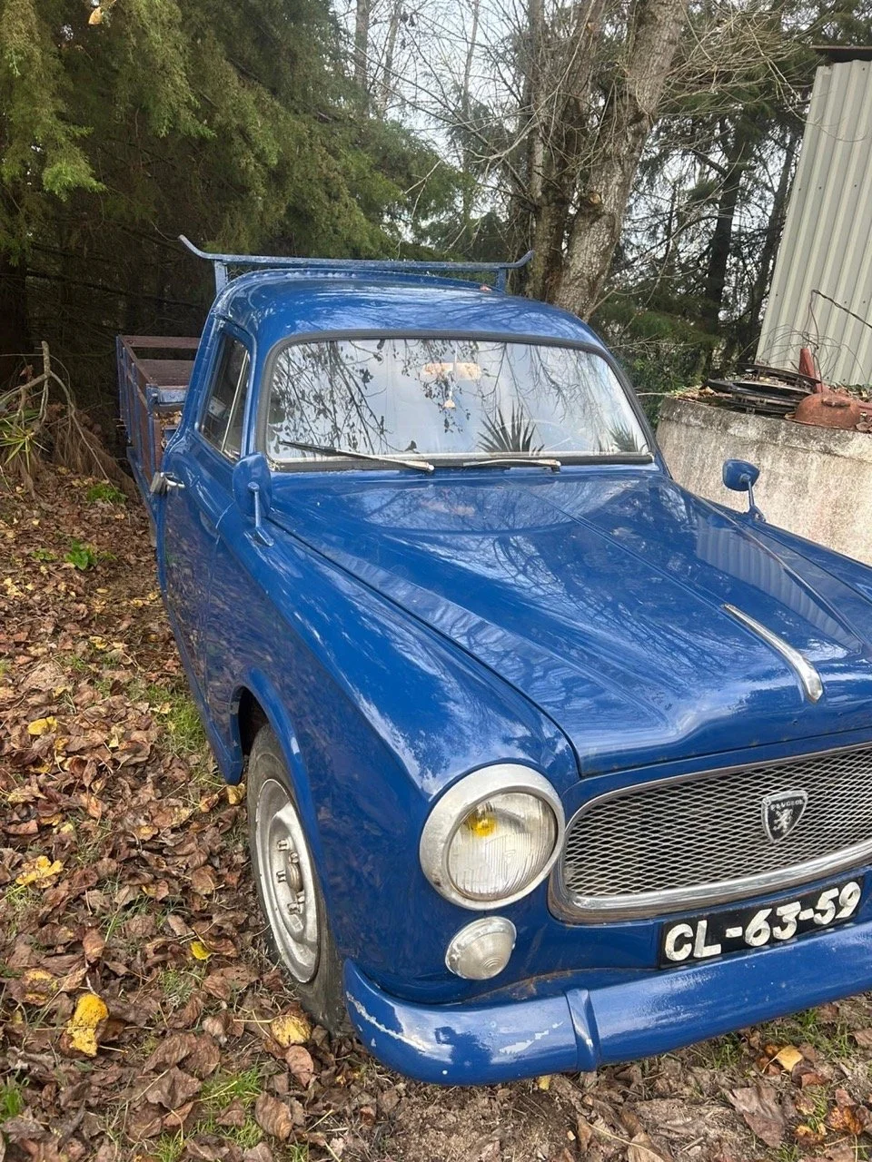 b09c23d9-62e0-44cd-b525-ab9e6d0ccb14 – grande.jpeg