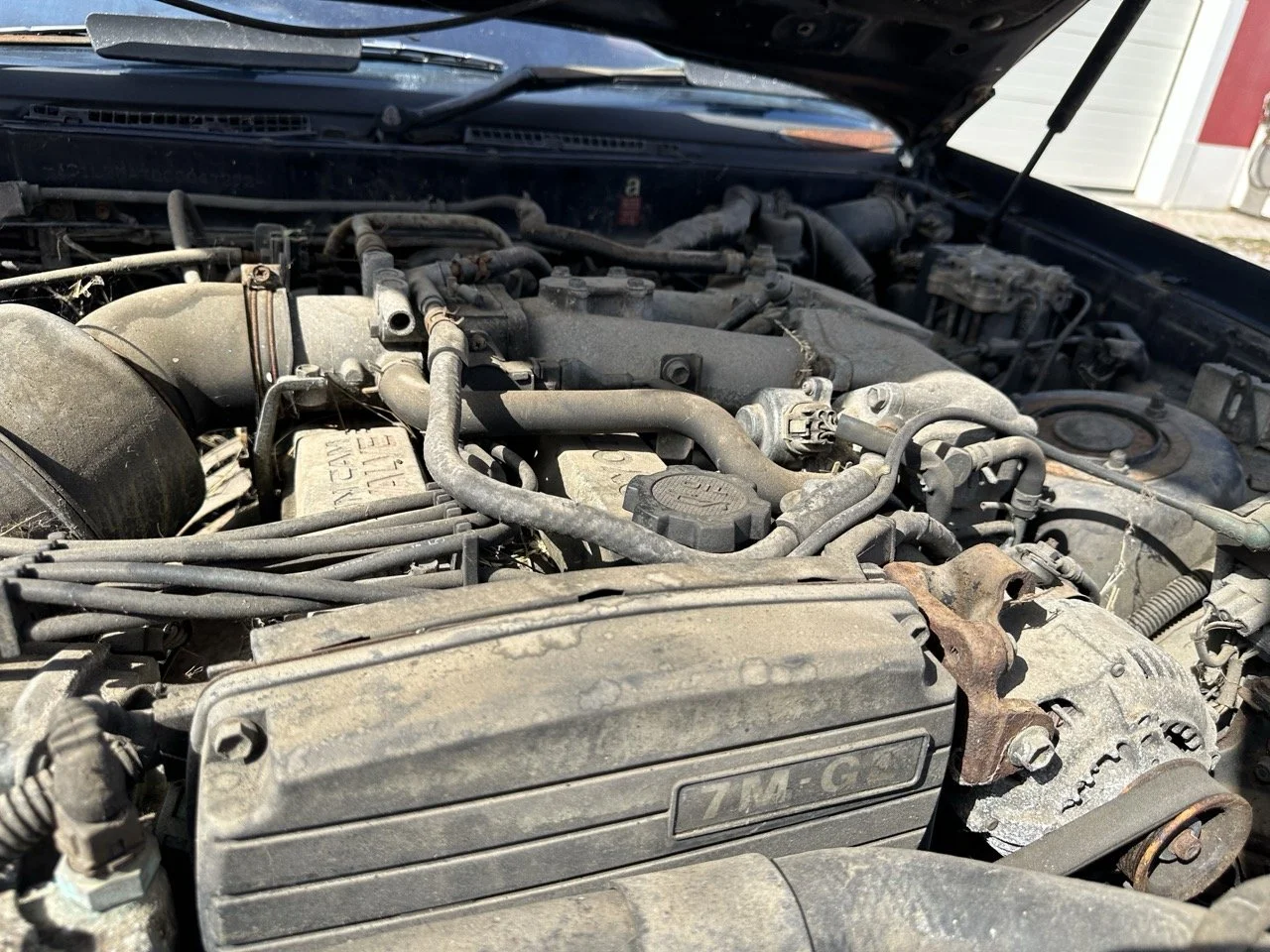 IMG_7212 – grande.jpeg