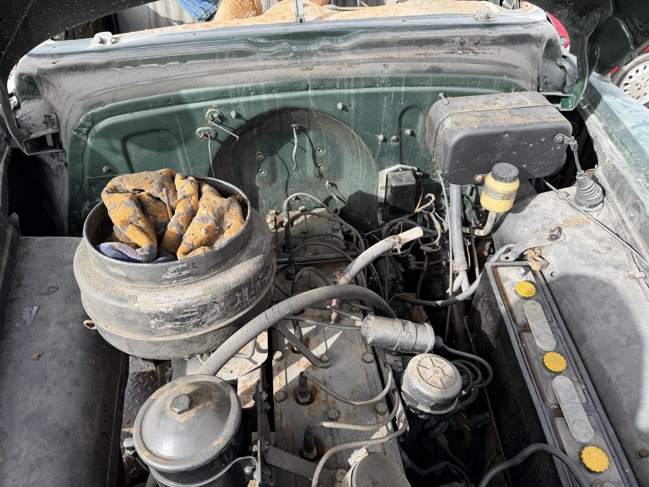 IMG_1796 – grande.jpeg