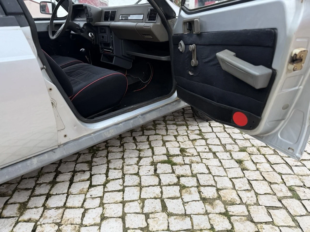 IMG_0511 – grande.jpeg