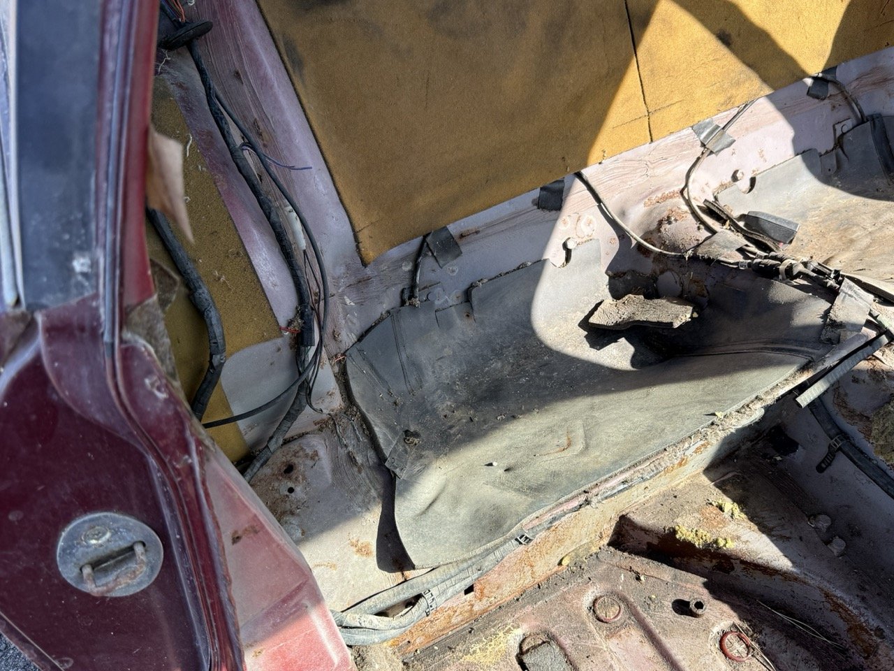 IMG_2989 – grande.jpeg