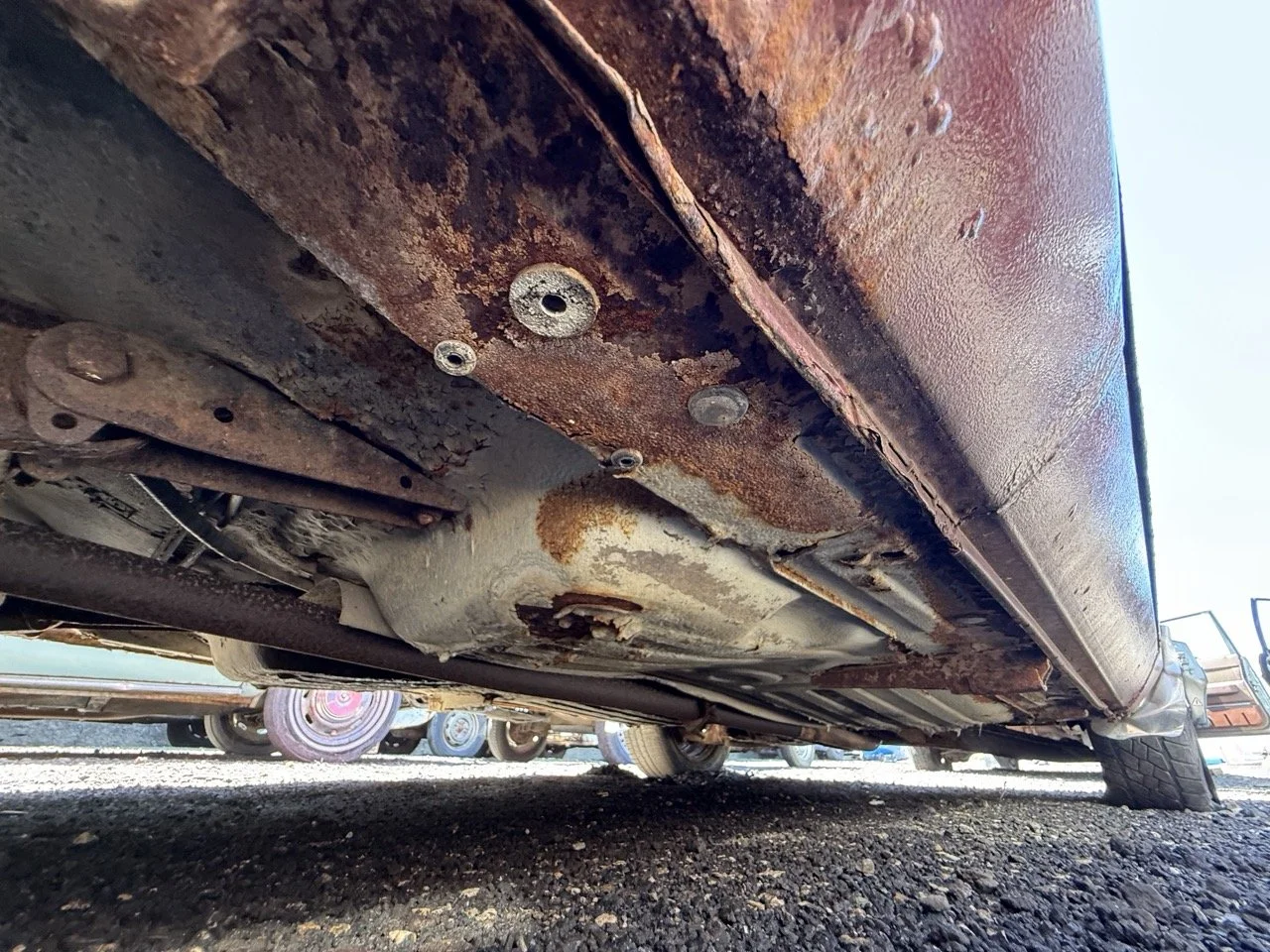 IMG_0971 – grande.jpeg