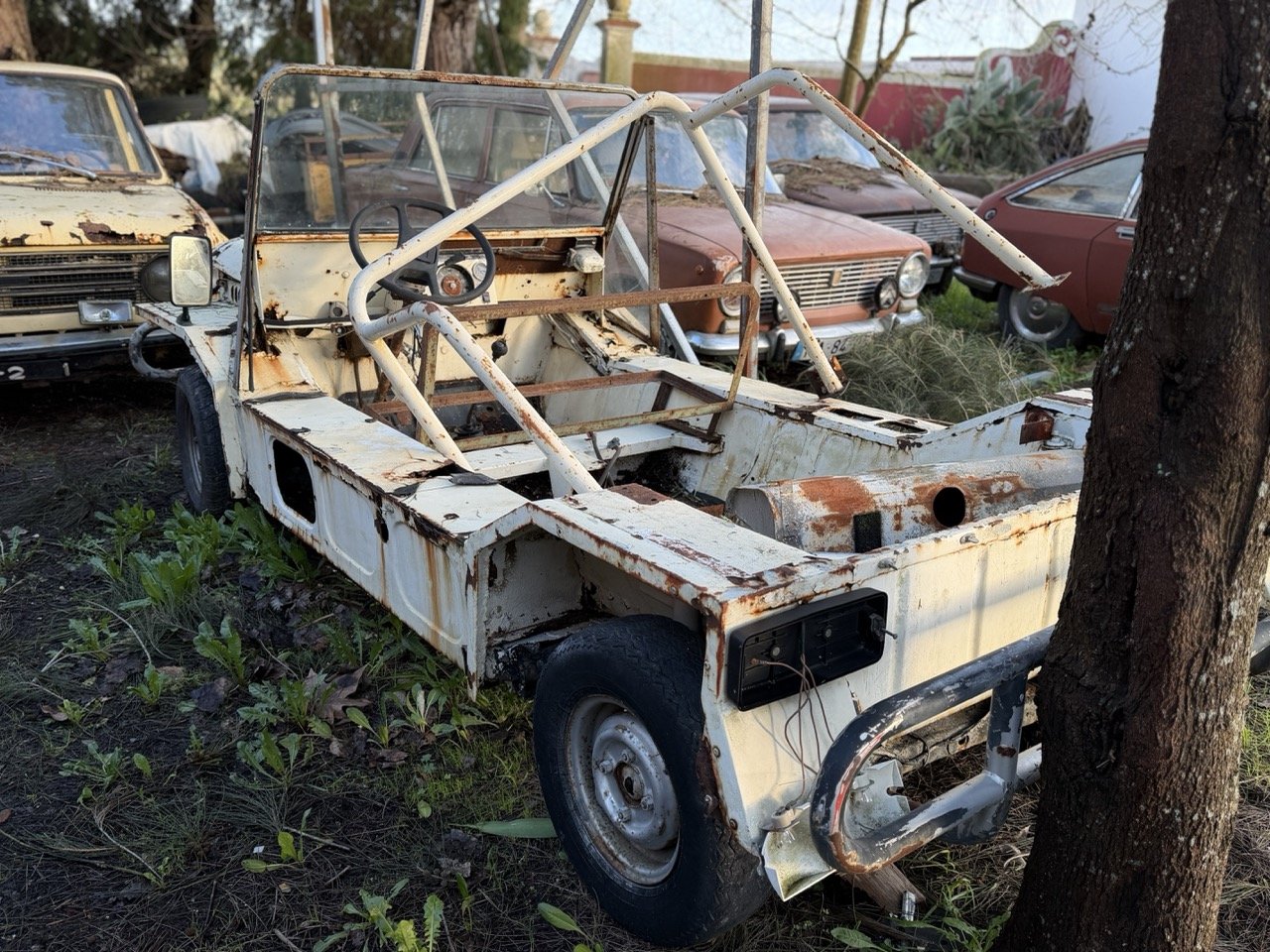 IMG_0876 – grande.jpeg