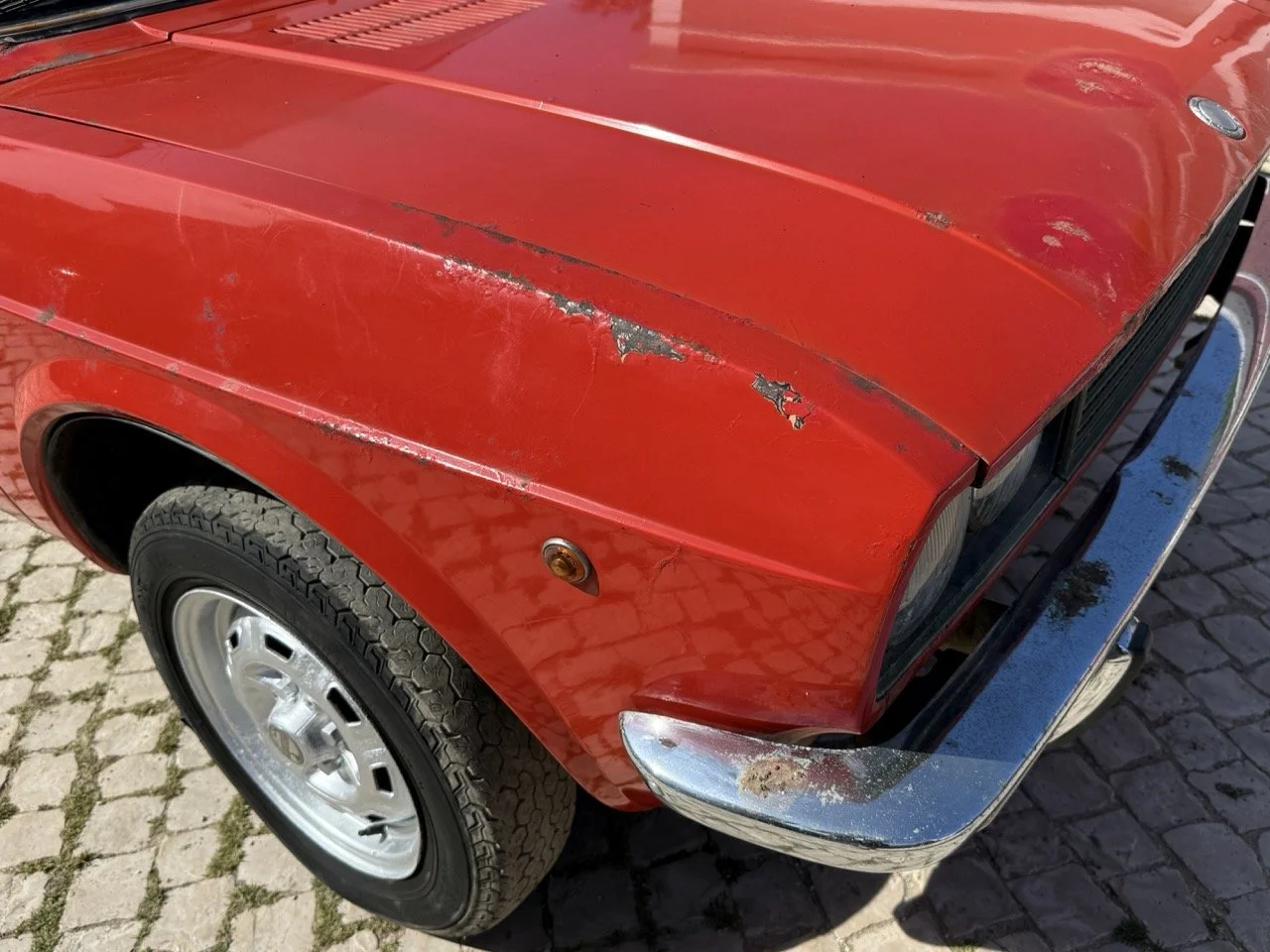 IMG_2342 – grande.jpeg