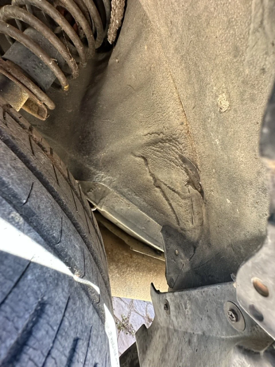 IMG_3125 – grande.jpeg