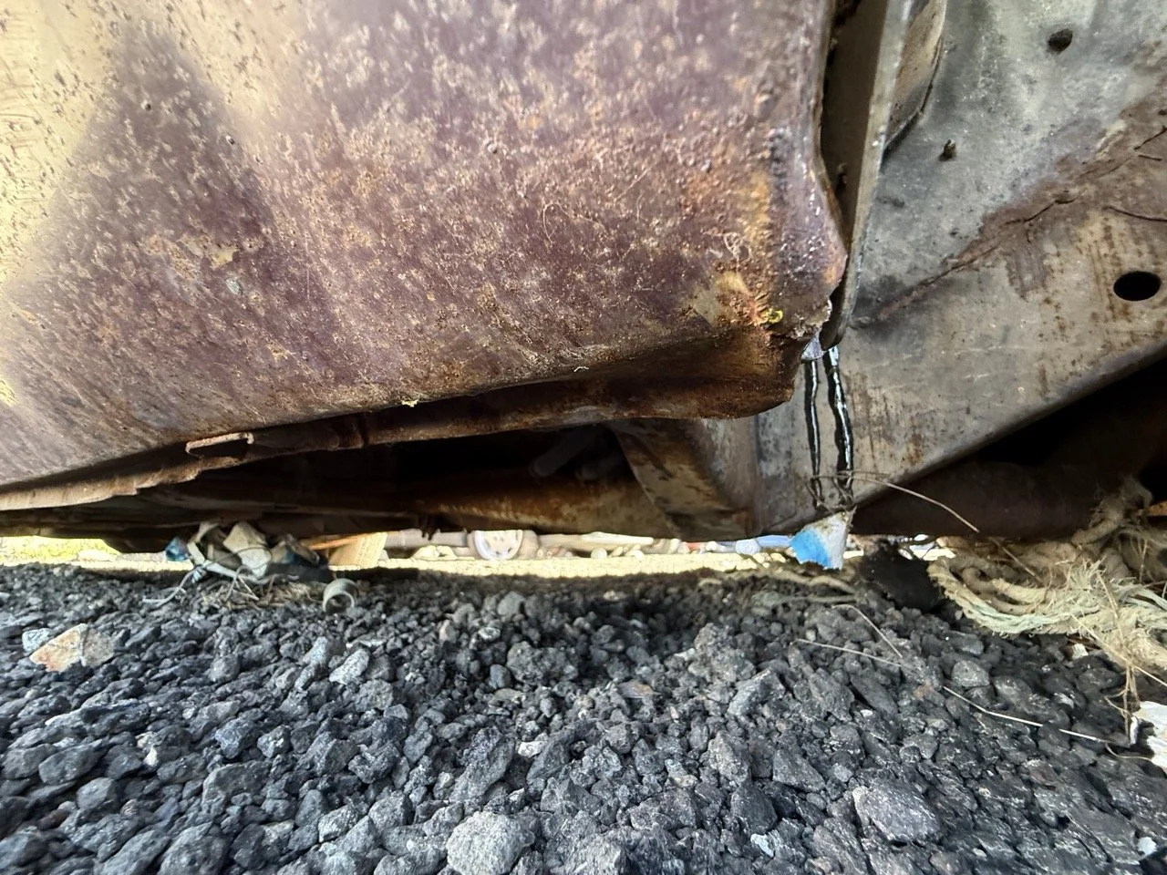 IMG_3060 – grande.jpeg