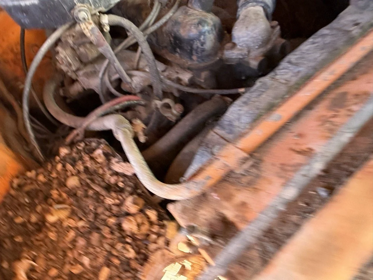 IMG_7720 – grande.jpeg