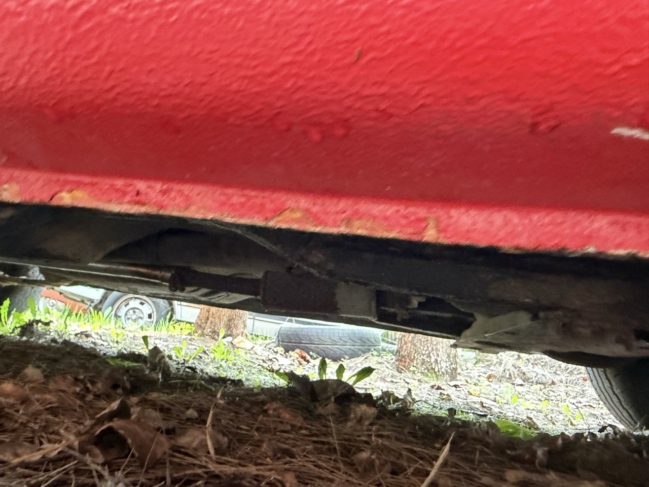 IMG_4944 – grande.jpeg