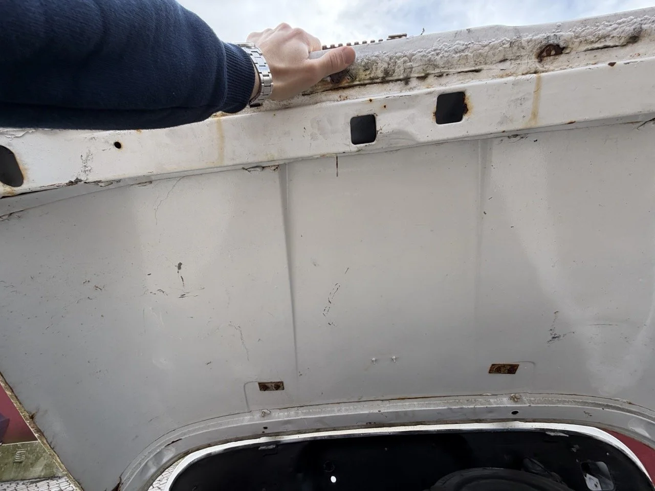 IMG_3948 – grande.jpeg