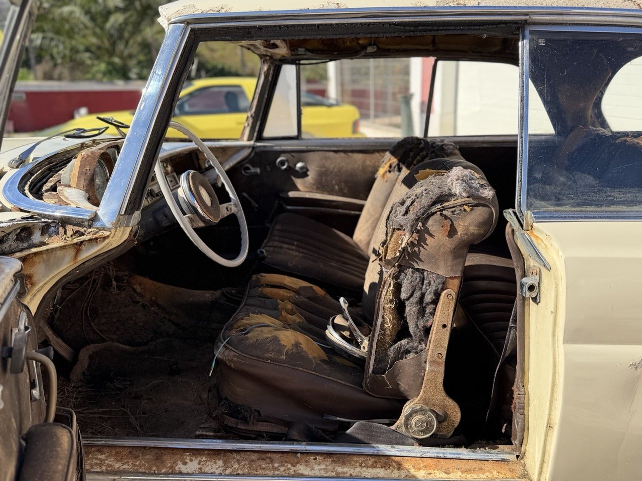 IMG_7011 – grande.jpeg