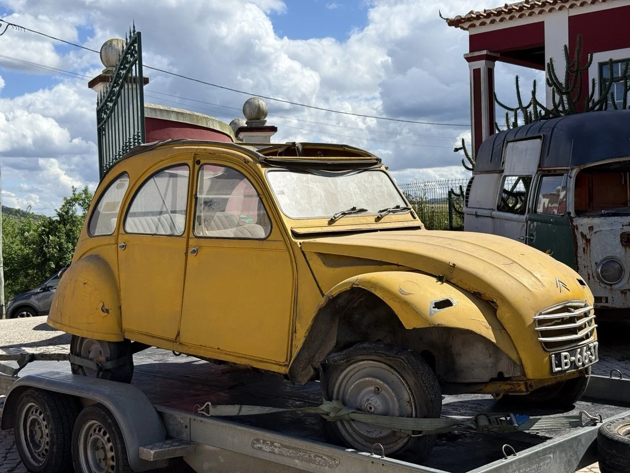 IMG_9092 2 – grande.jpeg