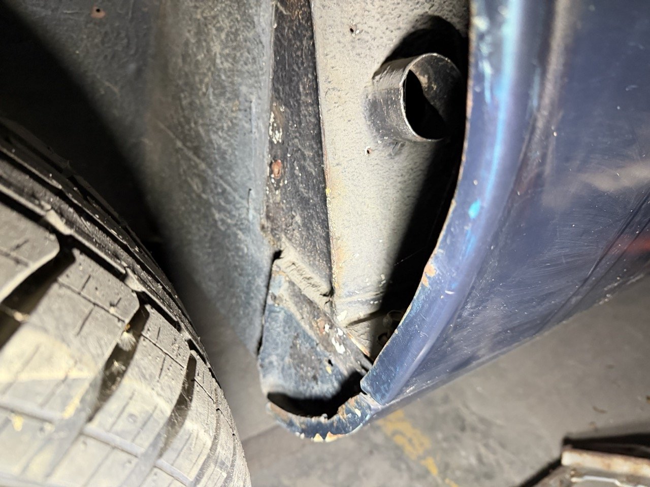 IMG_4251 – grande.jpeg