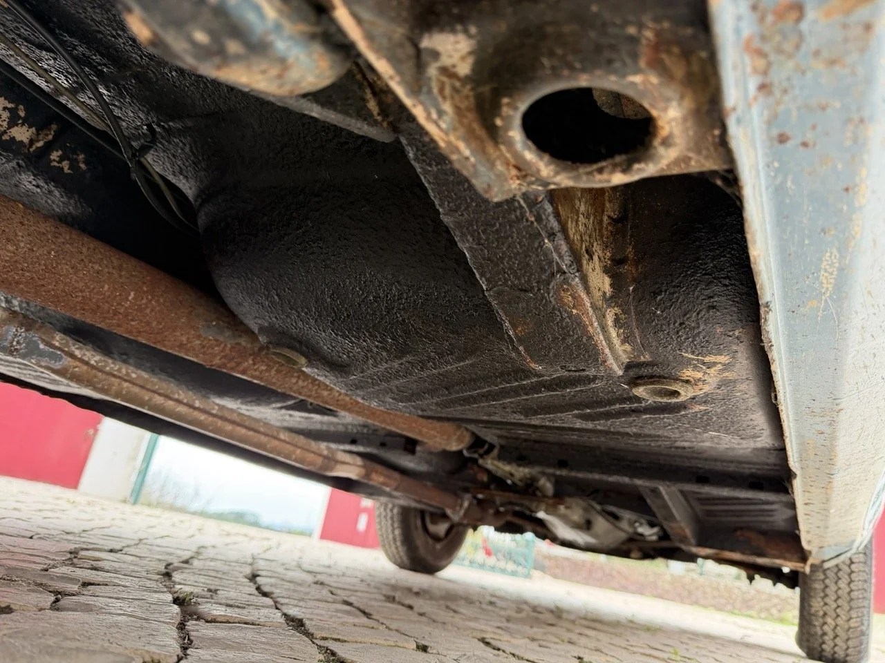 IMG_6335 – grande.jpeg