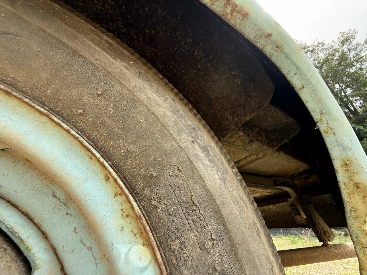 IMG_1427 – grande.jpeg