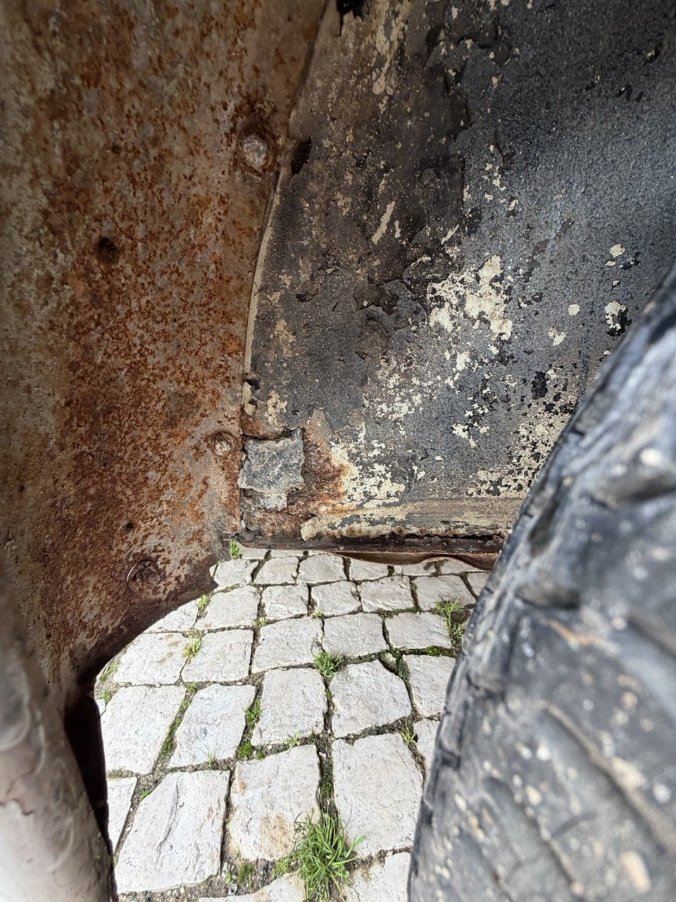 IMG_8676 – grande.jpeg