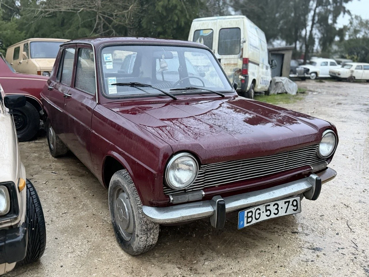 IMG_0269 – grande.jpeg