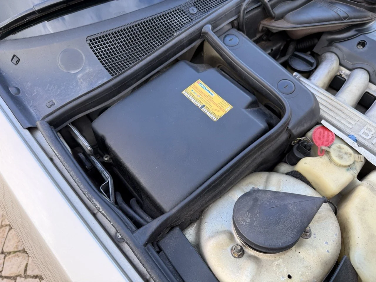 IMG_6980 2 – grande.jpeg