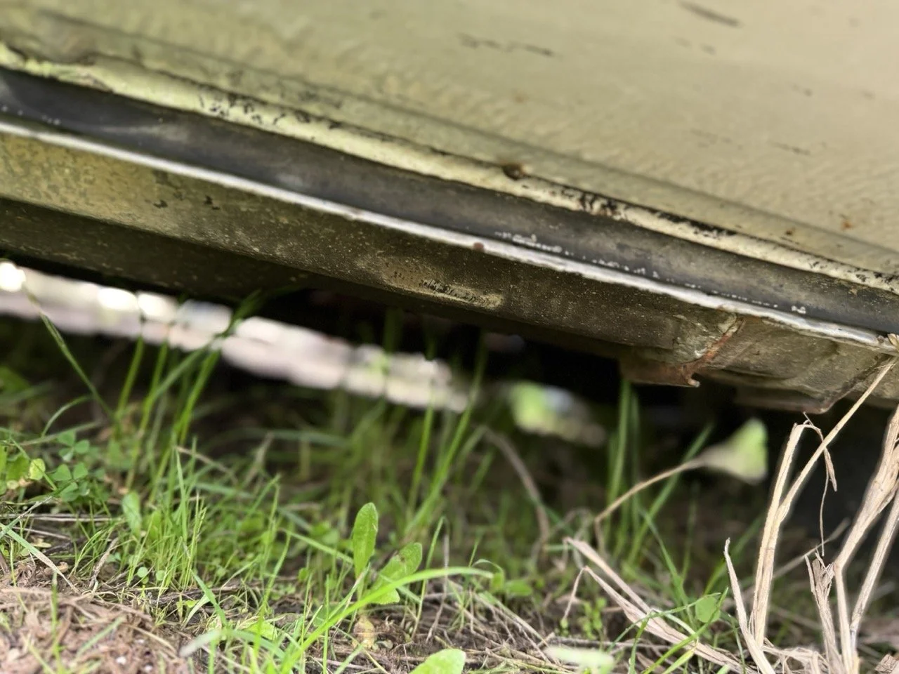 IMG_4995 – grande.jpeg