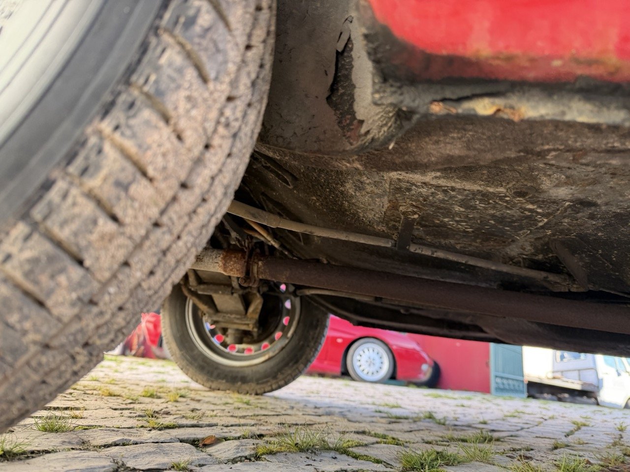 IMG_7225 – grande.jpeg