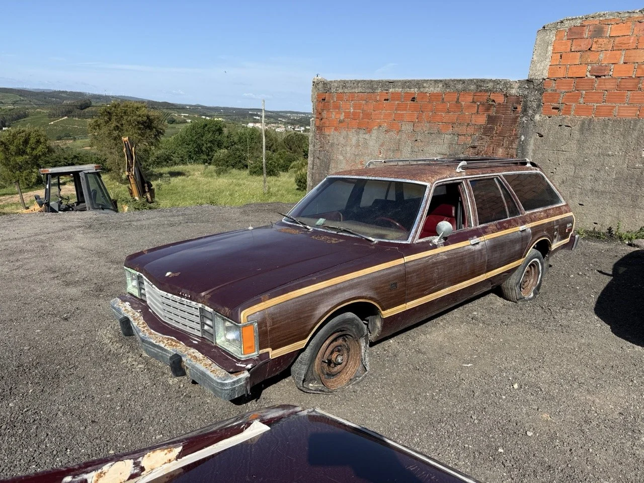 IMG_3004 – grande.jpeg