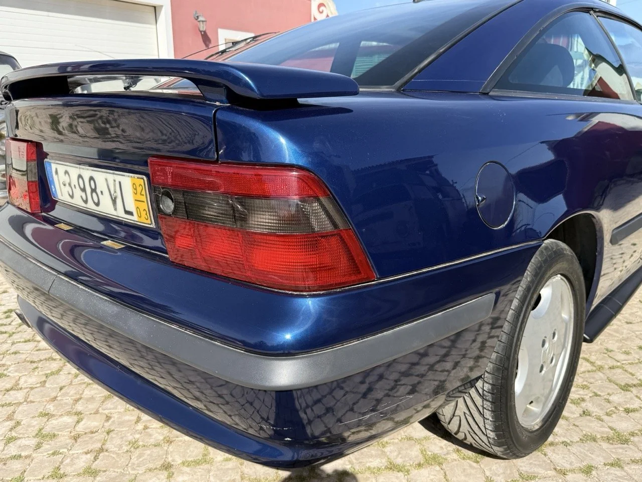 IMG_2480 – grande.jpeg