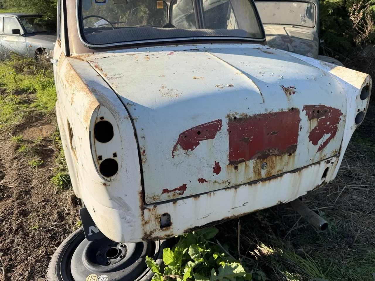 IMG_2511 – grande.jpeg