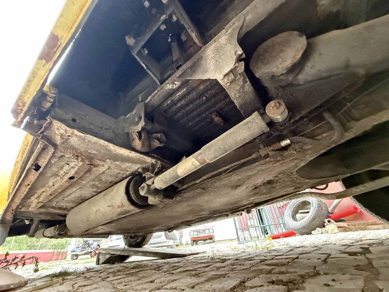 IMG_3817 – grande.jpeg