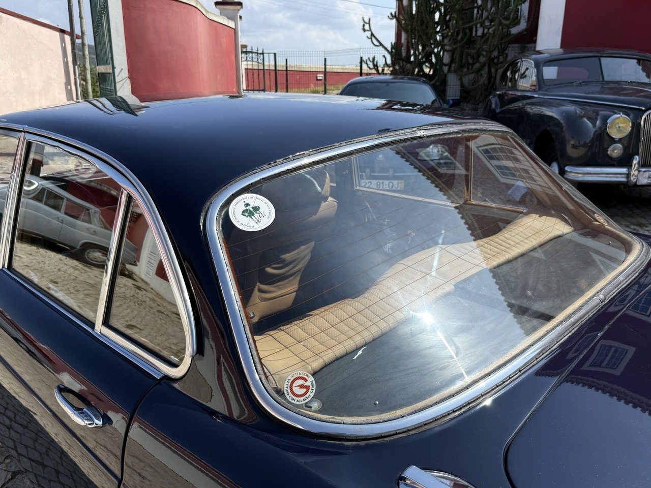 IMG_6400 – grande.jpeg