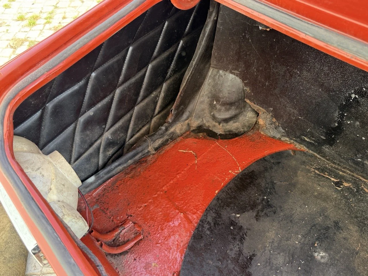 IMG_3629 – grande.jpeg