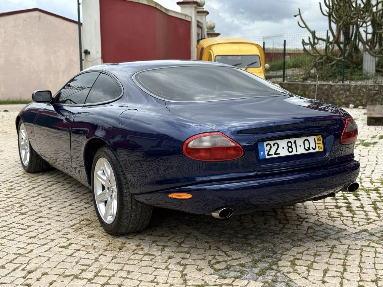 IMG_4034 – grande.jpeg