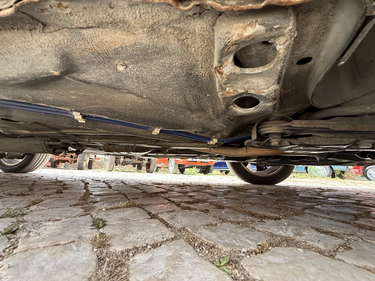IMG_0021 – grande.jpeg