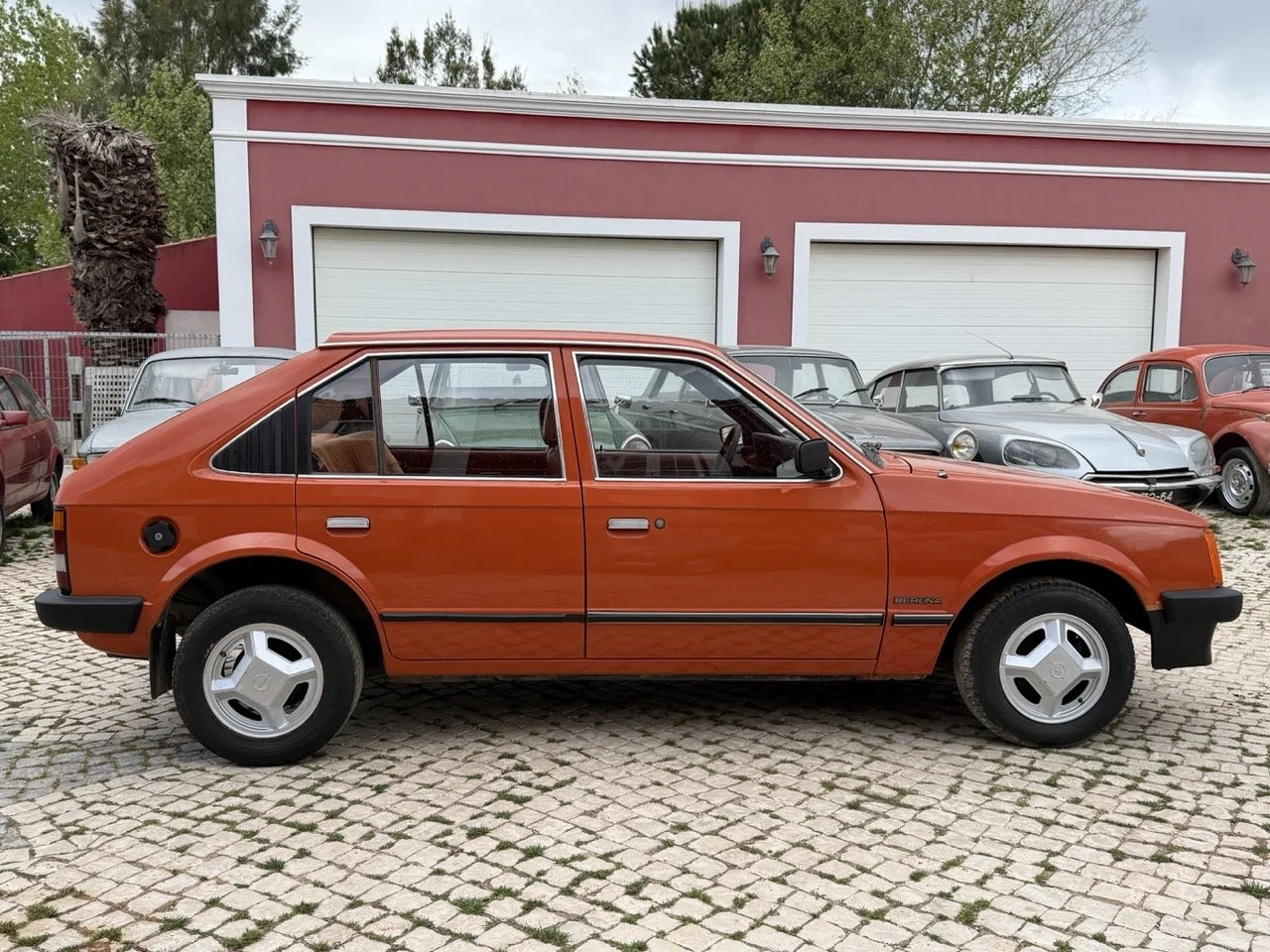 IMG_0226 – grande.jpeg